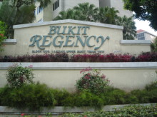 Bukit Regency (D21), Condominium #1154092
